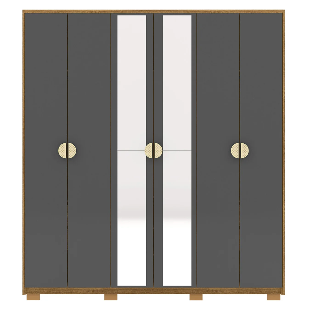 Guarda Roupa Casal 203cm Com Espelho Leo Nature/Alasca V02 - Mpozenato