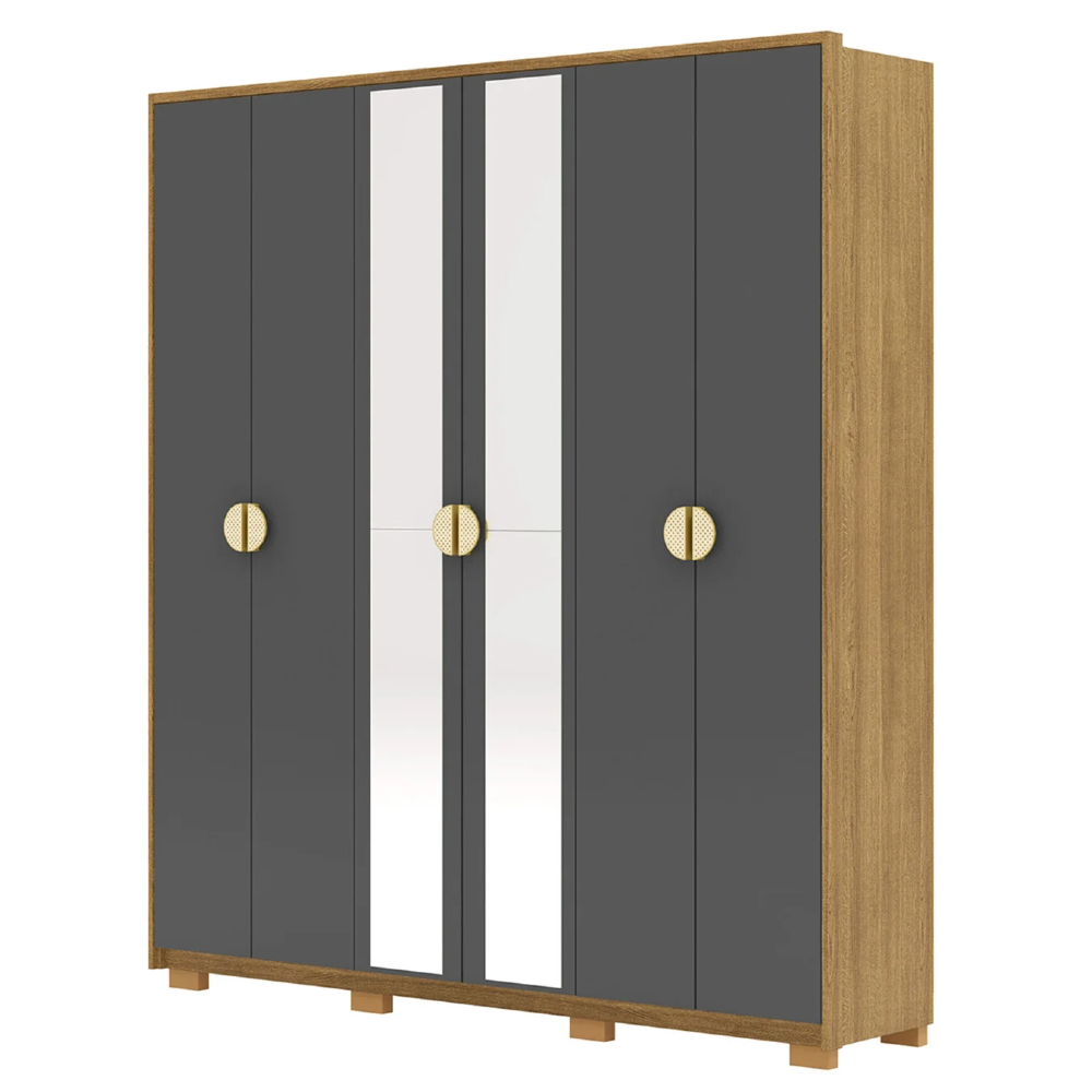 Guarda Roupa Casal 203cm Com Espelho Leo Nature/Alasca V02 - Mpozenato