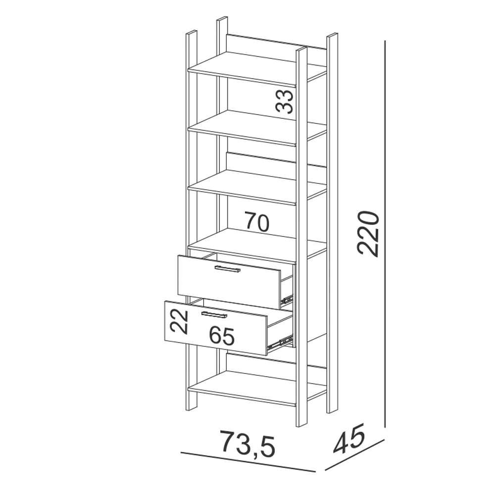 Guarda Roupa Closet Industrial 2 Gavetas 4 Prateleiras TW401 Freijó/Preto Fosco - Pradel