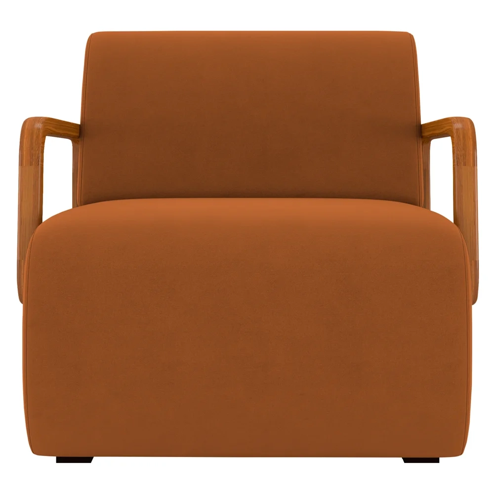 Poltrona Decorativa Orgânica para Sala Kit 2 Belarus Z08 Veludo Telha - Mpozenato